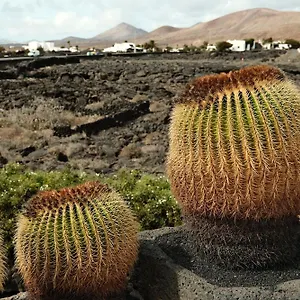 casa-layka-con-maravillosas-vistas-al-mar.in-canary-islands.com/